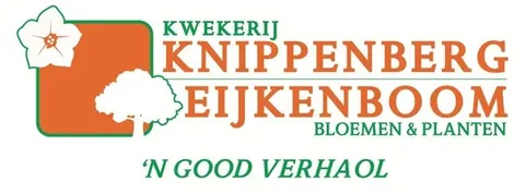 Kwekerij Knippenberg Eijkenboom Bloemen